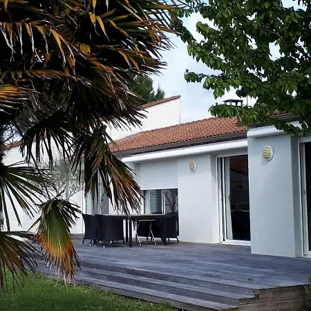 Modern With Private Pool