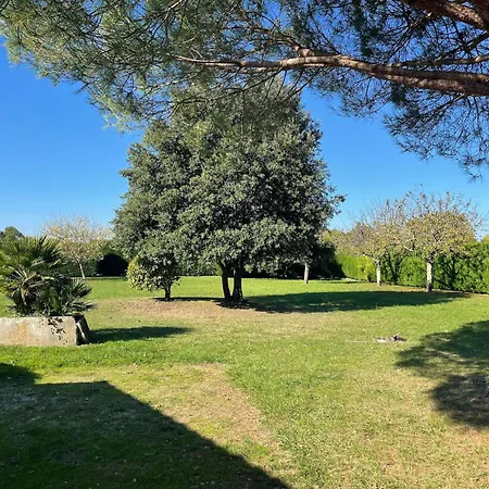 Modern With Pool In Villa